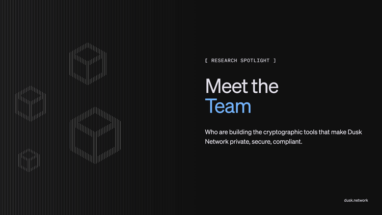 Research Spotlight title card reading Meet the Team, with faint cube outlines